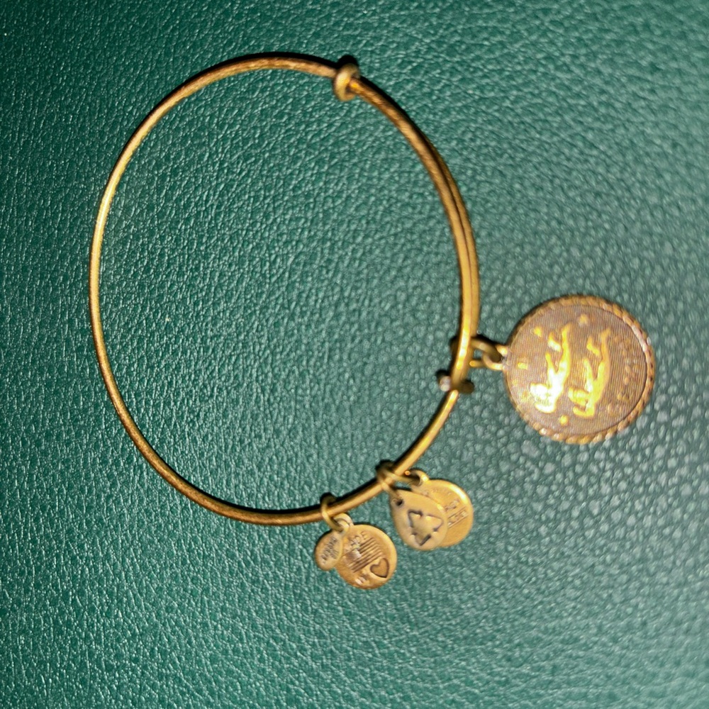 Alex and Ani bracelet